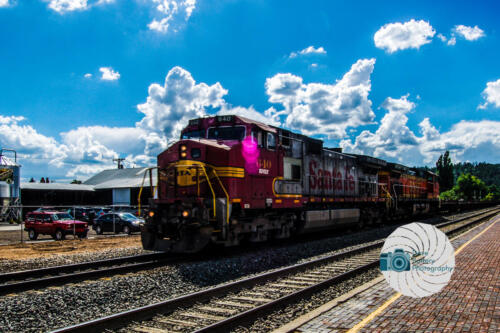 Dave Buttery Photography